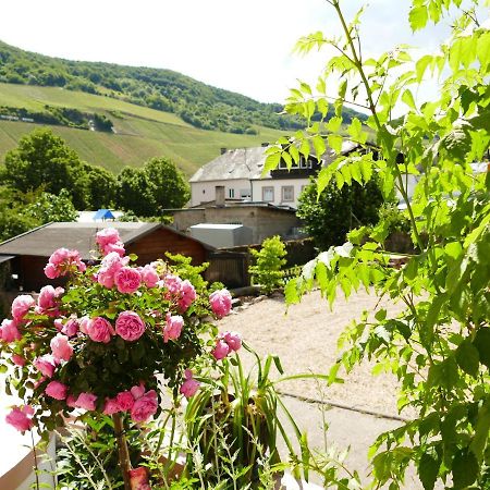 Apartament Ines Trittenheim Zewnętrze zdjęcie